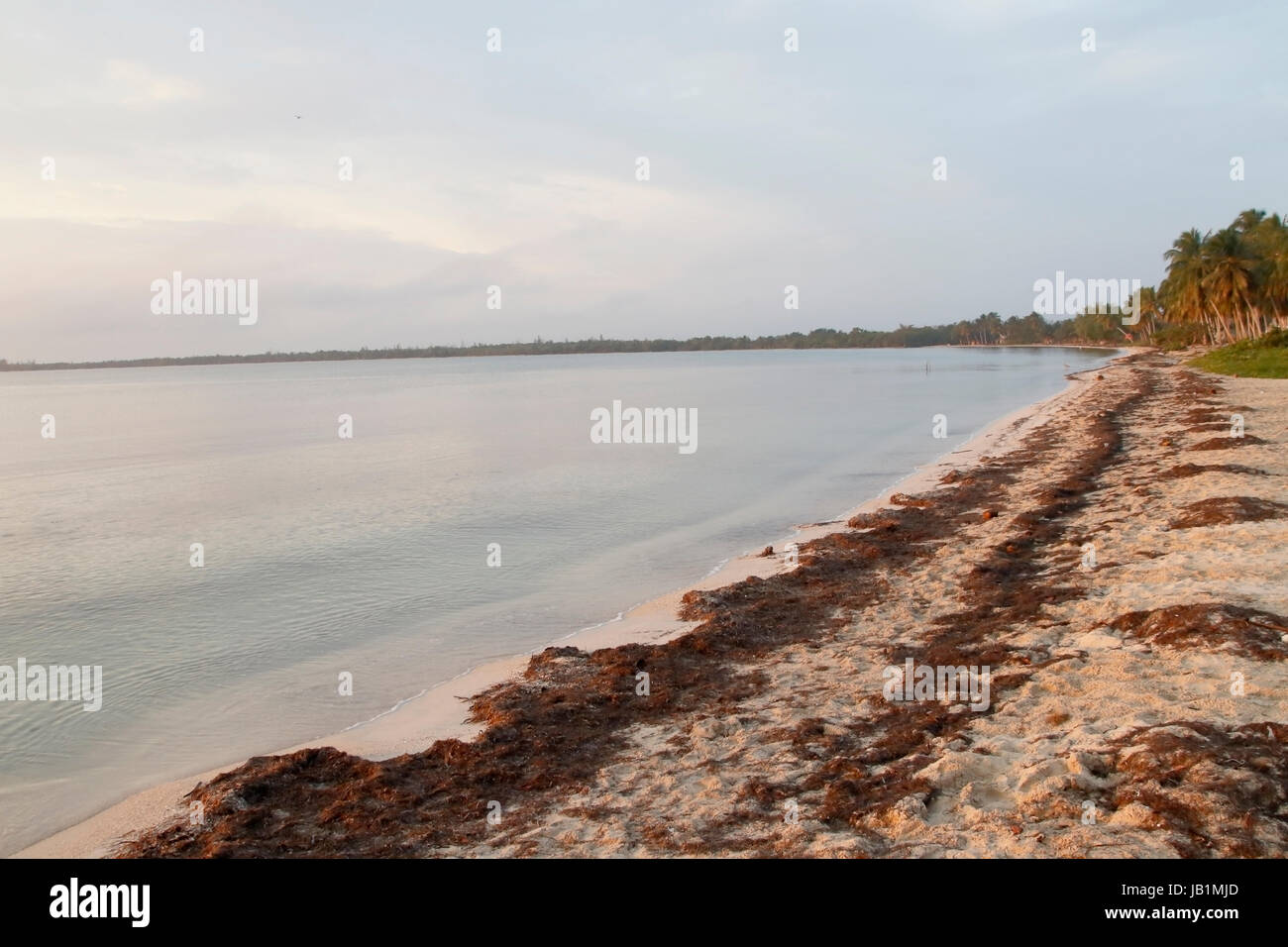 Vista della spiaggia di Baia dei Maiali vicino al sito di invasione, Cuba Foto Stock