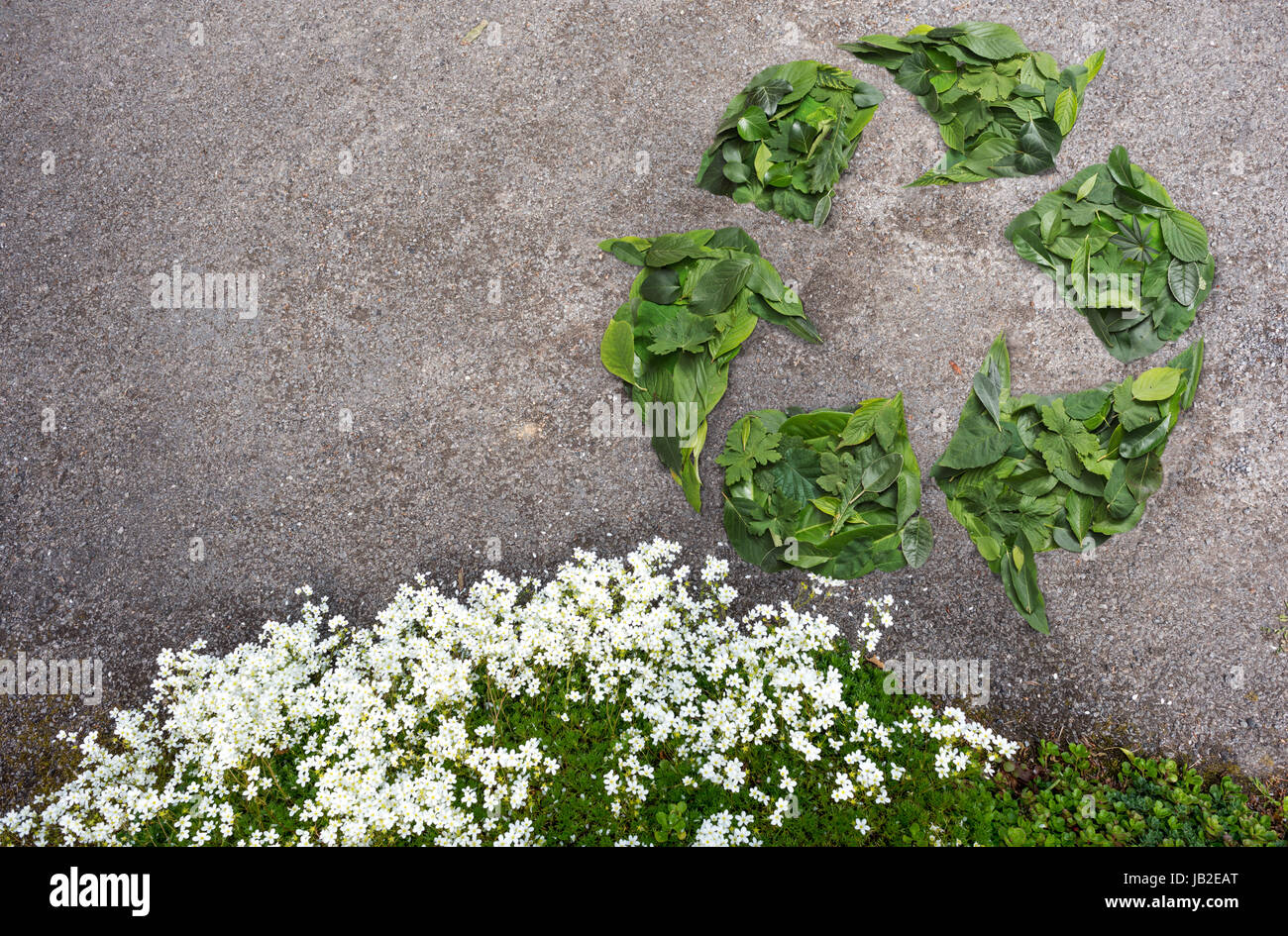 Simbolo di riciclaggio realizzato da foglie Foto Stock