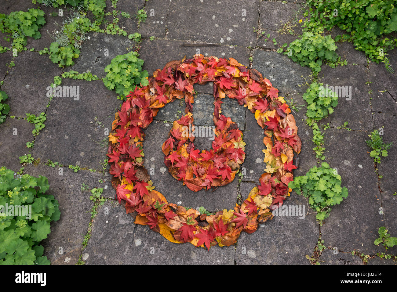 Pulsante di alimentazione Symbol realizzati da foglie autunnali Foto Stock