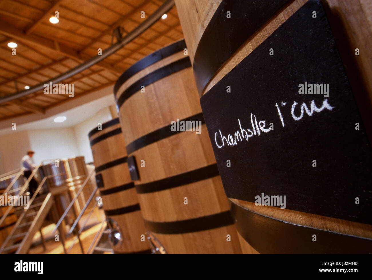 Chambolle 1er Cru blackboard placca su oak cuve canna nel moderno cuverie presso la cantina Sablière di Louis Jadot. Beaune, Côte d'Or, Francia. Foto Stock