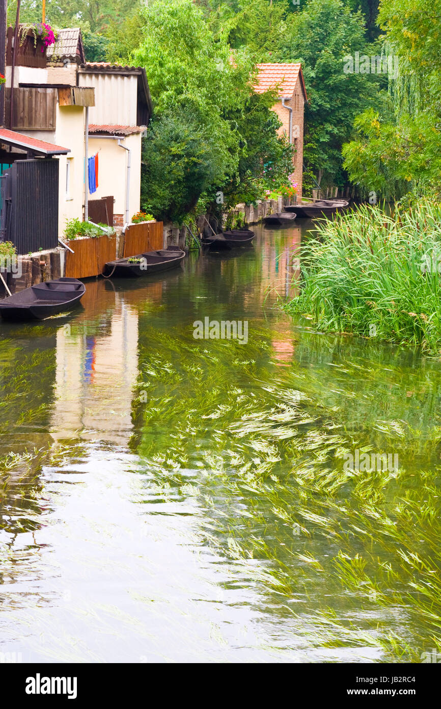 Lübbenau im Spreewald nel Brandeburgo, Deutschland, Luebenau nella foresta di Sprea nel Brandeburgo, Germania Foto Stock