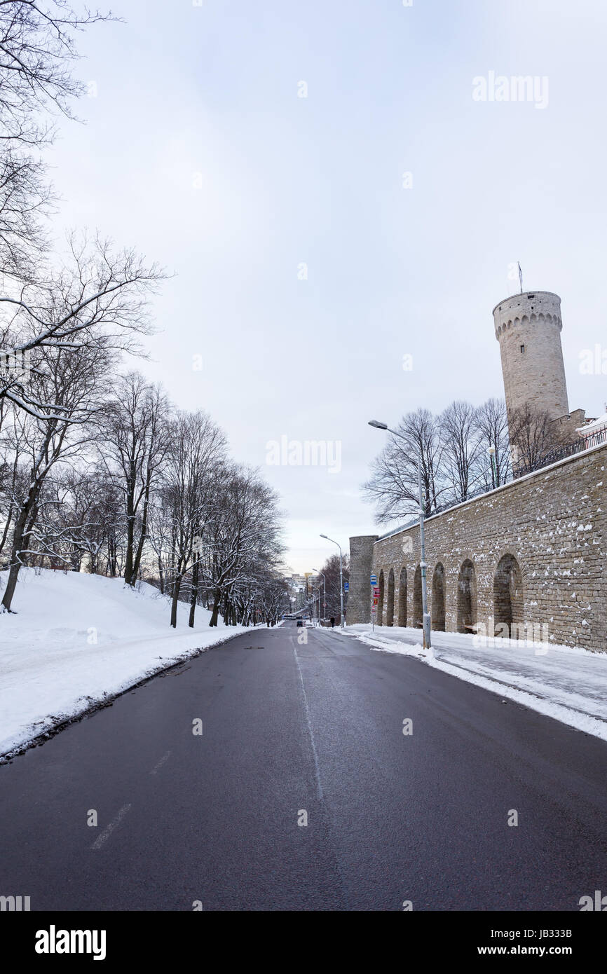 Lunga Herman (Pikk Hermann) torre con estone di bandiera nazionale sulla sommità a Tallinn in Estonia Foto Stock