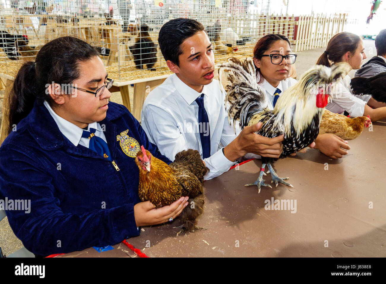 Miami Florida,Tamiami Park,Miami-Dade County Youth Fair & Exposition,County fair,allevamento di animali,competizione avicola,ragazzi ispanici etnia,ki maschile Foto Stock