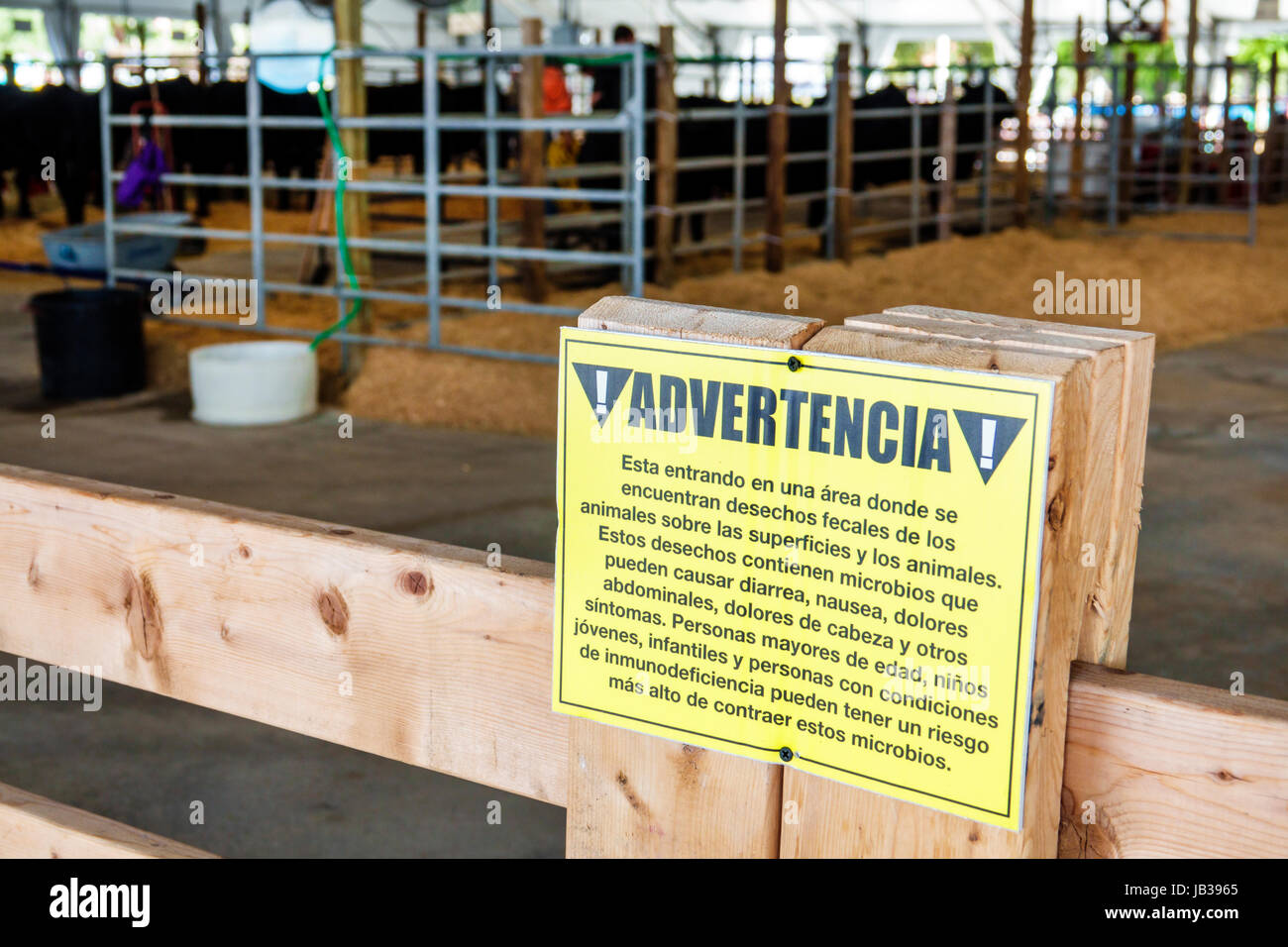 Miami Florida,Tamiami Park,Miami-Dade County Youth Fair & Exposition,County fair,zootecnia,fienile,segno,avvertimento,spagnolo,lingua,batteri fecali pr Foto Stock