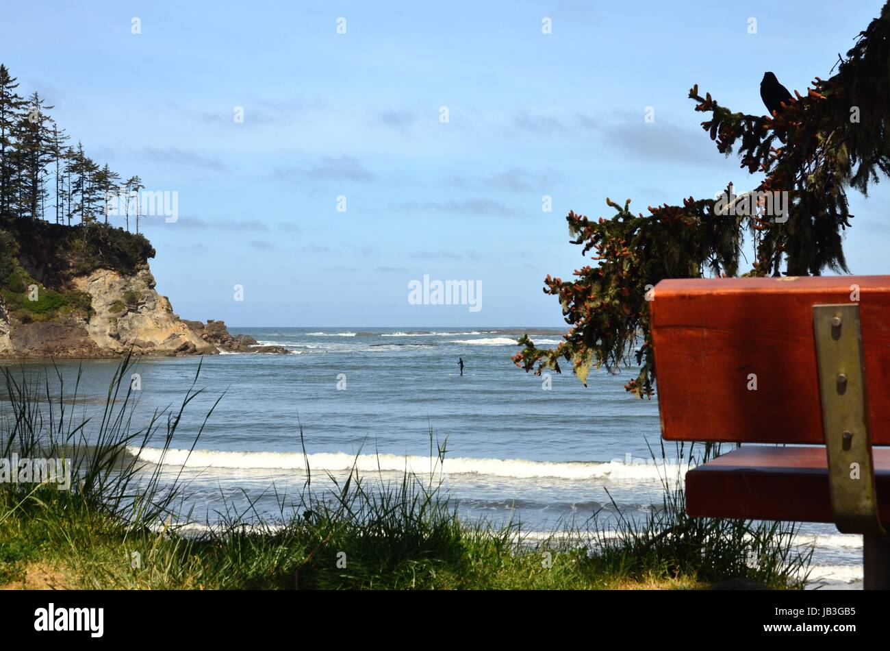 Paddle Boarder nel tramonto Bay State Park, Oregon Foto Stock