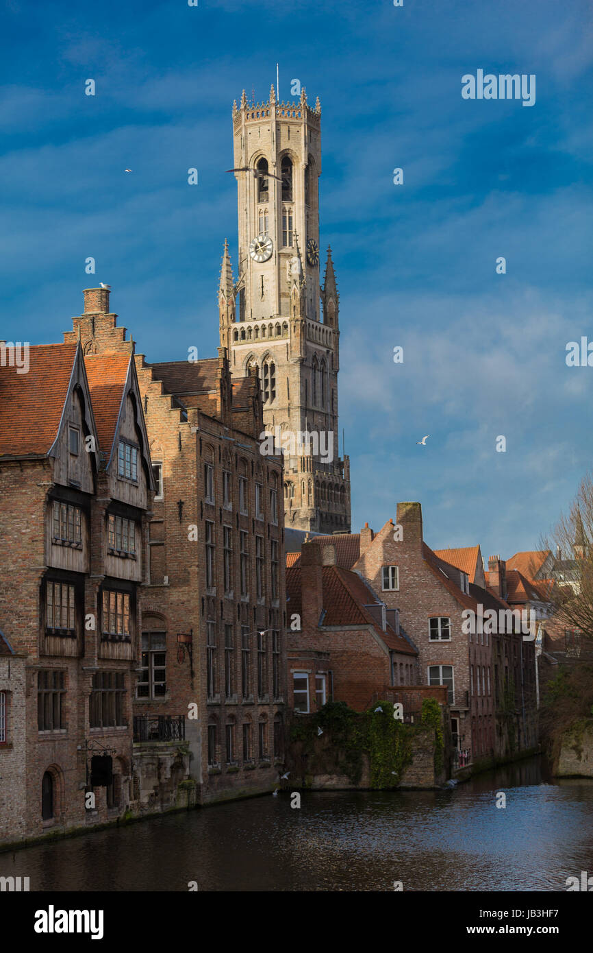 Der Belfried in Bruegge hinter historischen Häusern Foto Stock