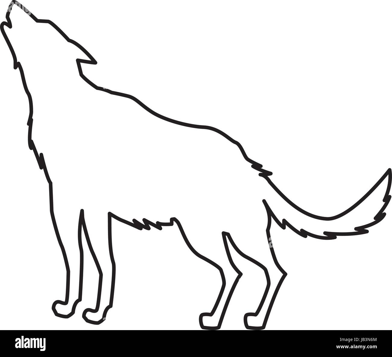 Lupo foresta di animali selvatici immagine di vita Illustrazione Vettoriale