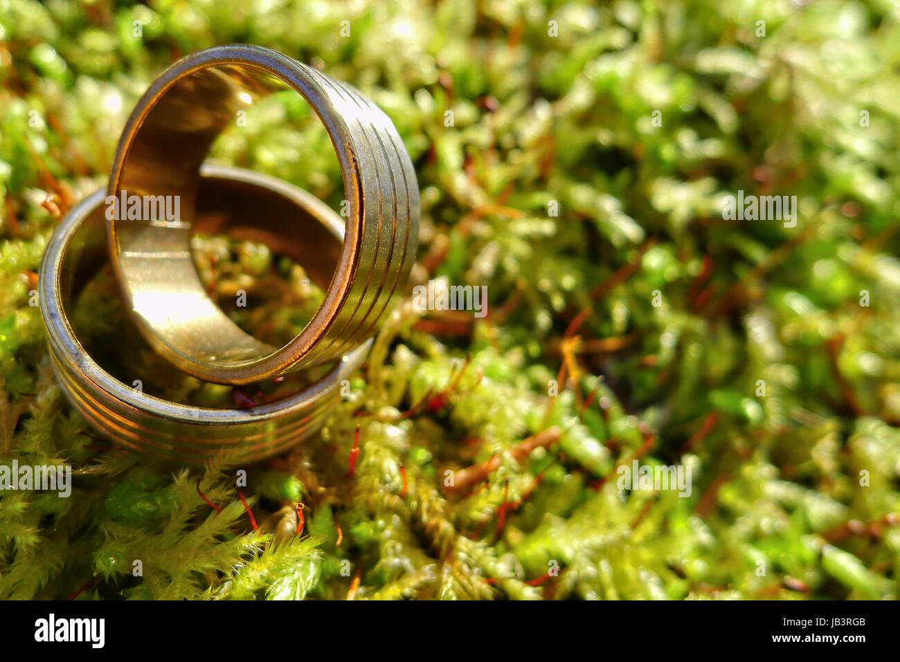 anello di nozze Foto Stock