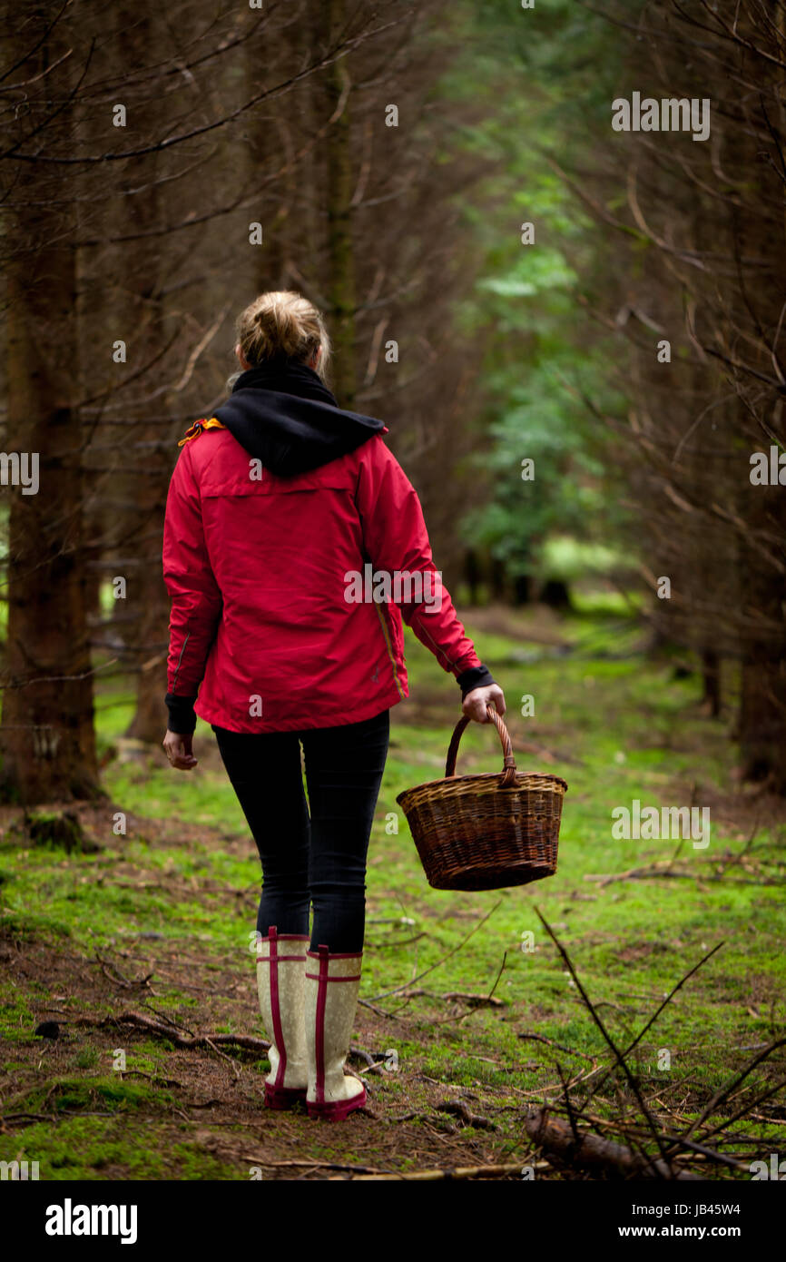 Junge frau mit roter jacke im herbst sammelt pilze im Wald natur entspannung lebensmittel Foto Stock