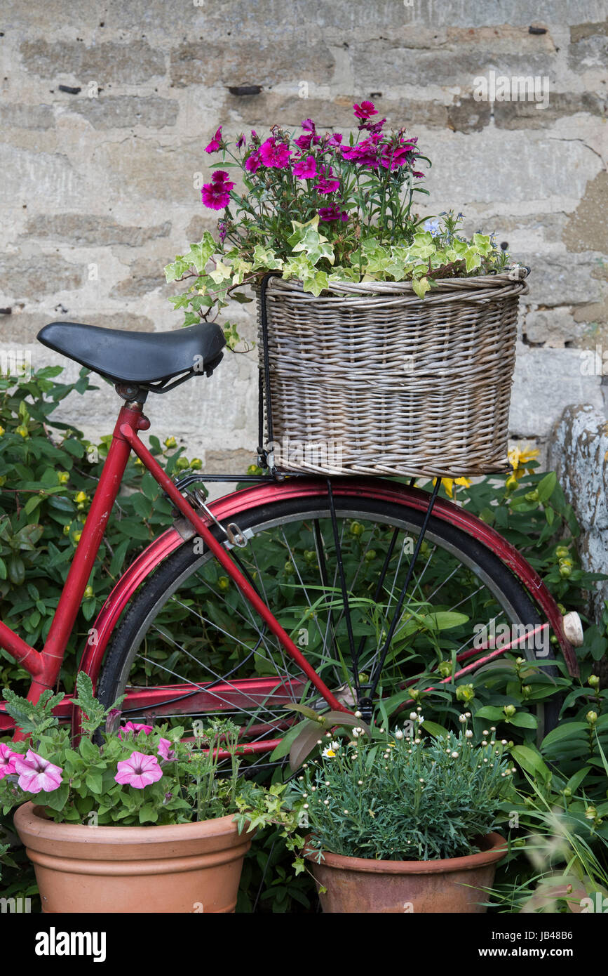 Vecchia bicicletta cesti in vimini e piena di fiori nel giardino frontale di un cottage. Filkins, Cotswolds, Oxfordshire, Regno Unito Foto Stock