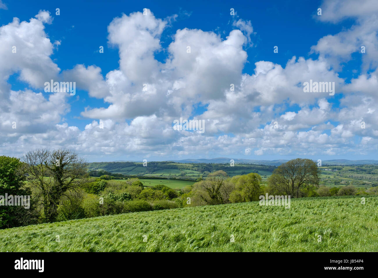 Montagne PRESELI,PEMBROKESHIRE,Wales UK Foto Stock