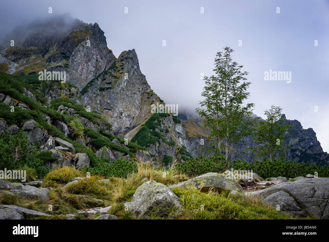 Drammatico paesaggio di montagna. Vertici Mieguszowiecki, Tatra National Park Foto Stock