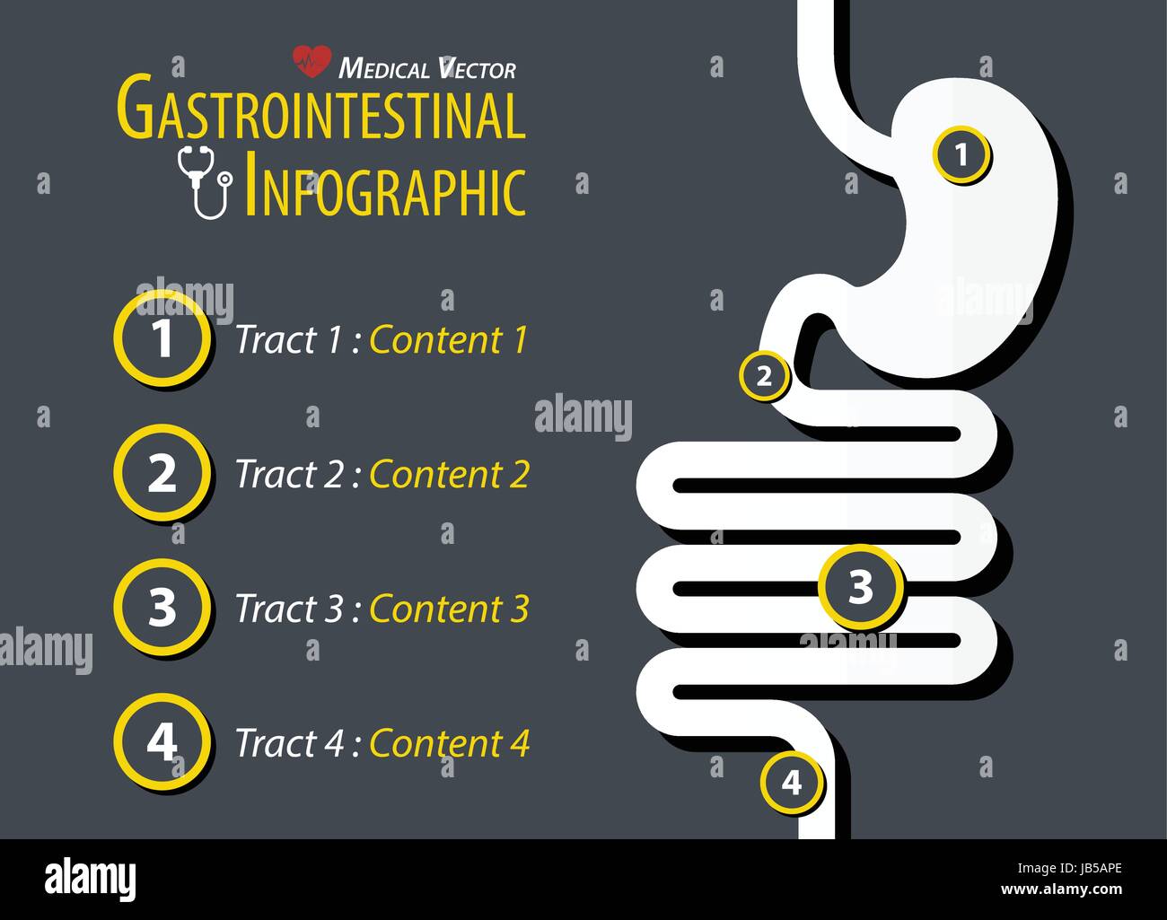 Infografico gastrointestinale . Design piatto . Illustrazione Vettoriale