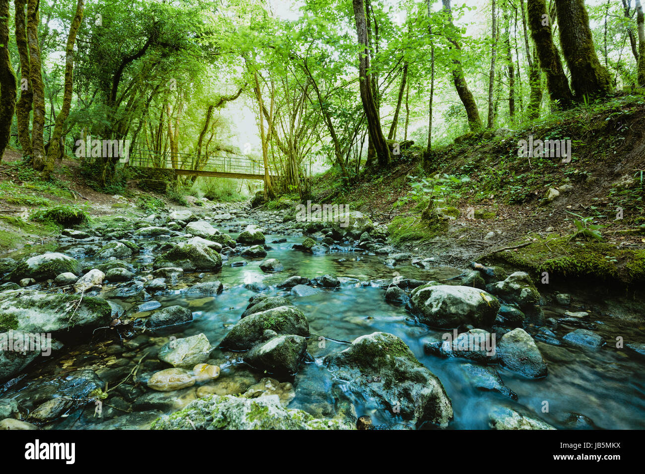 Piccolo ruscello, fiume che scorre attraverso una foresta durante l'estate. vivaci colori verde e blu Foto Stock
