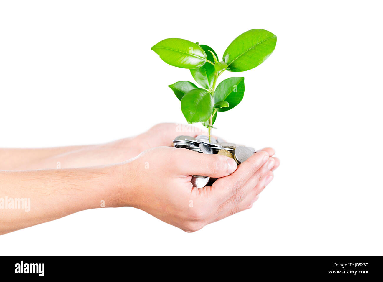 1 uomo denaro a mani cupped tenendo la pianta con moneta la vita vegetale di sicurezza-Parte di close up Foto Stock