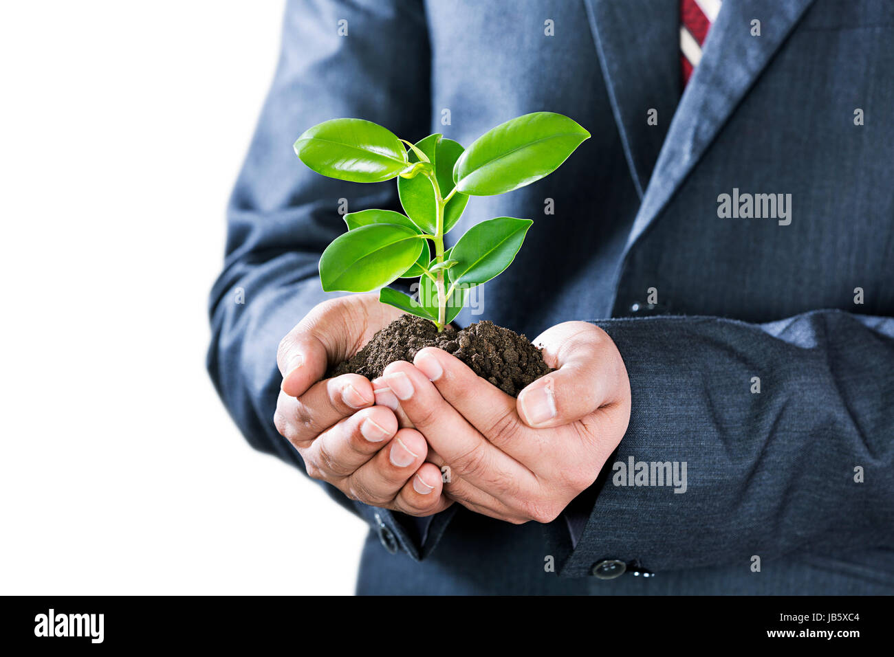 1 business man azienda ambiente vegetale-riguardano la vita vegetale sulla sezione centrale stretta fino Foto Stock