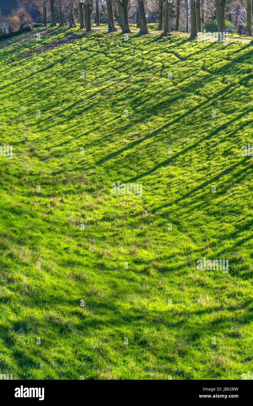 filiale della sorgente Foto Stock