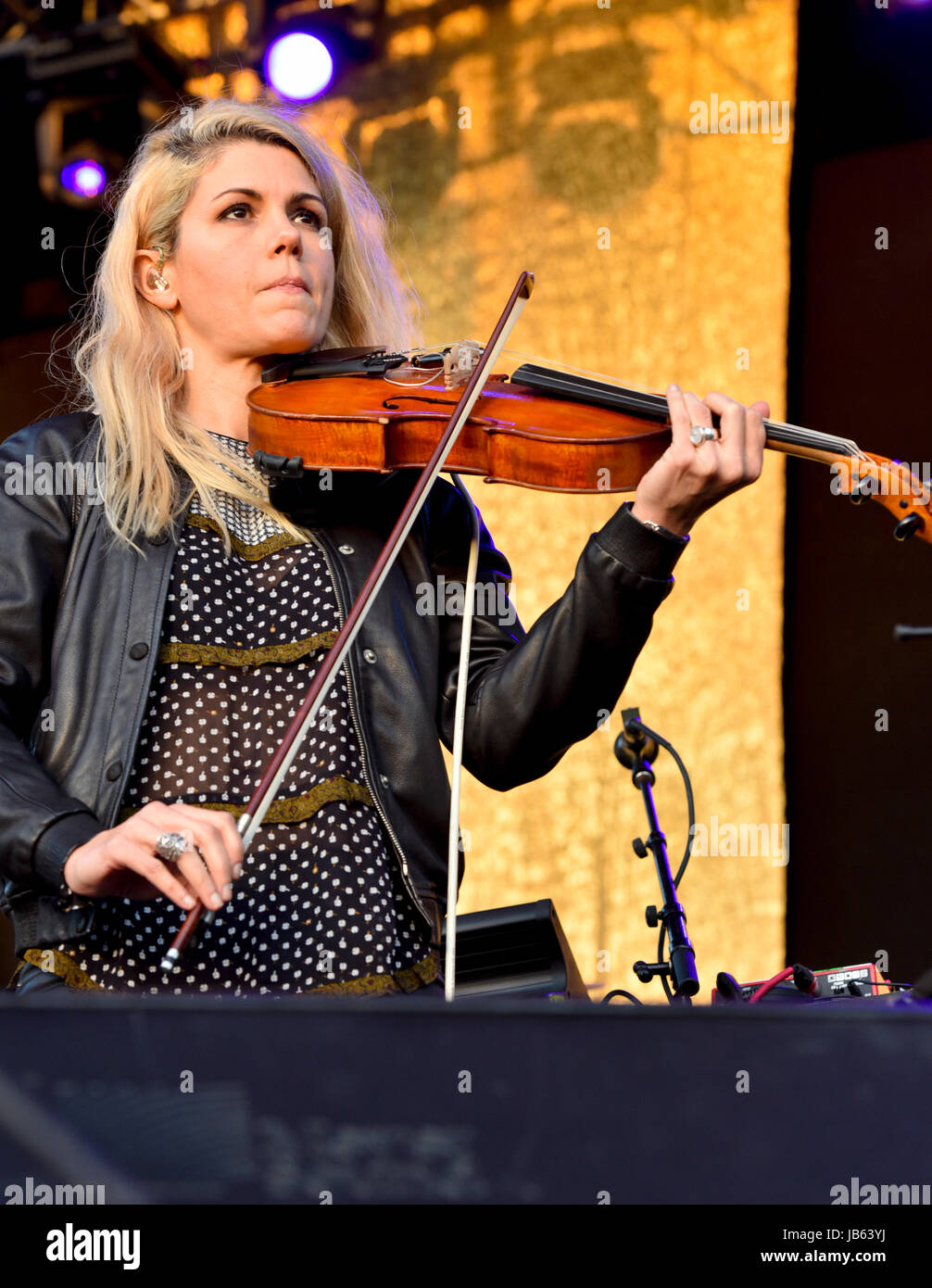 Napa Valley, California, 26 maggio 2017 - Mouse modesto presso il Festival BottleRock, Giorno 1 Foto Stock