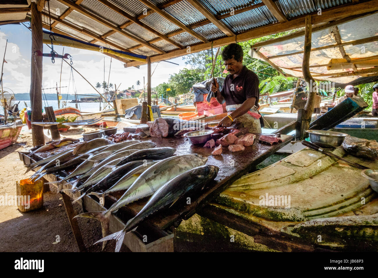 Fisherman preparazione di fermo sul suo mercato in stallo, Galle, Sri Lanka Foto Stock