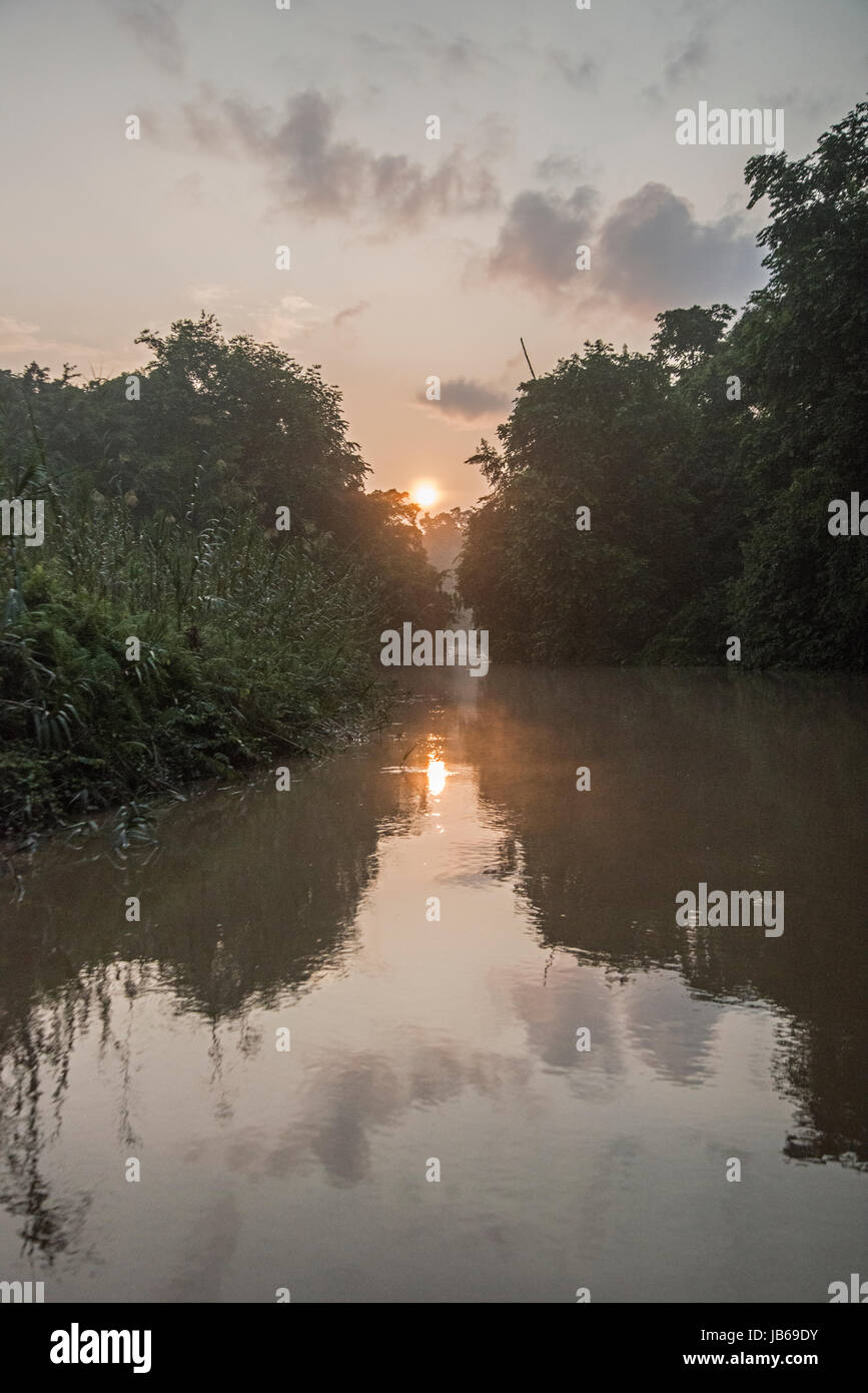 Fiume Kinabatangan, Sabah Borneo. Sunrise Foto Stock