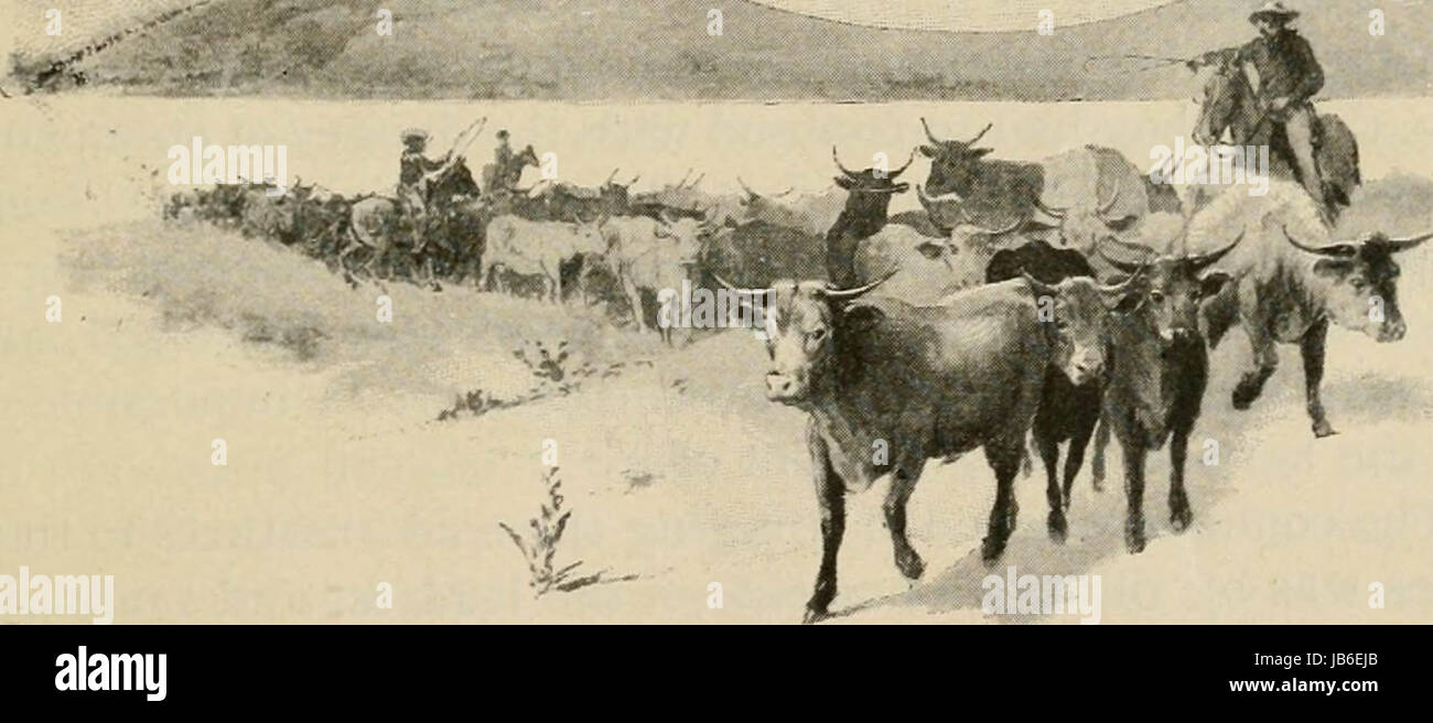 "Il nostro paese: West" (1897) Foto Stock