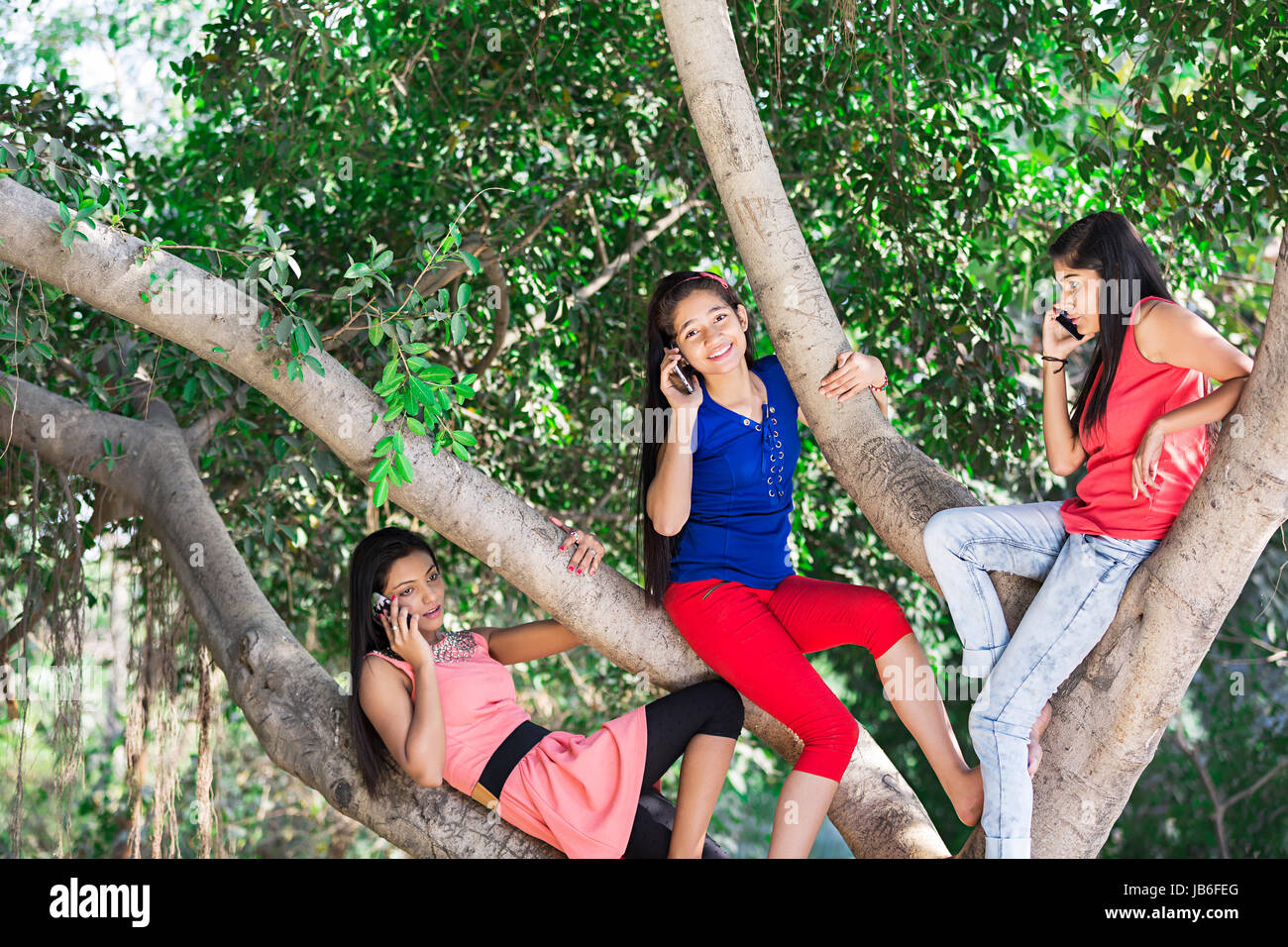 3 adolescenti indiani giovani ragazze salire ramo di albero e parlando al telefono in park godetevi Foto Stock