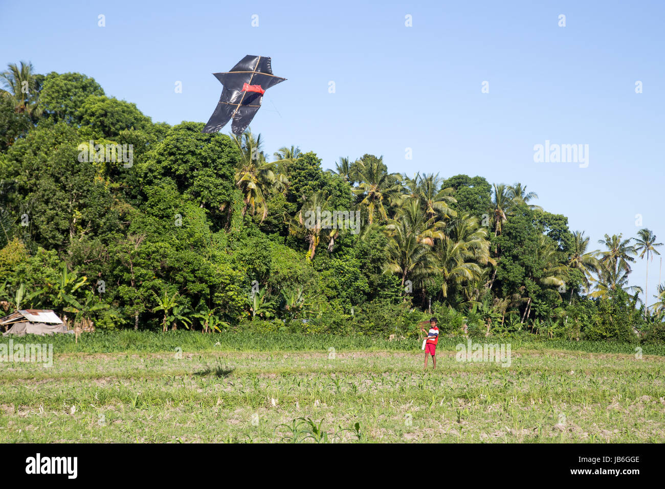 Capretto Balinese con un aquilone Foto Stock
