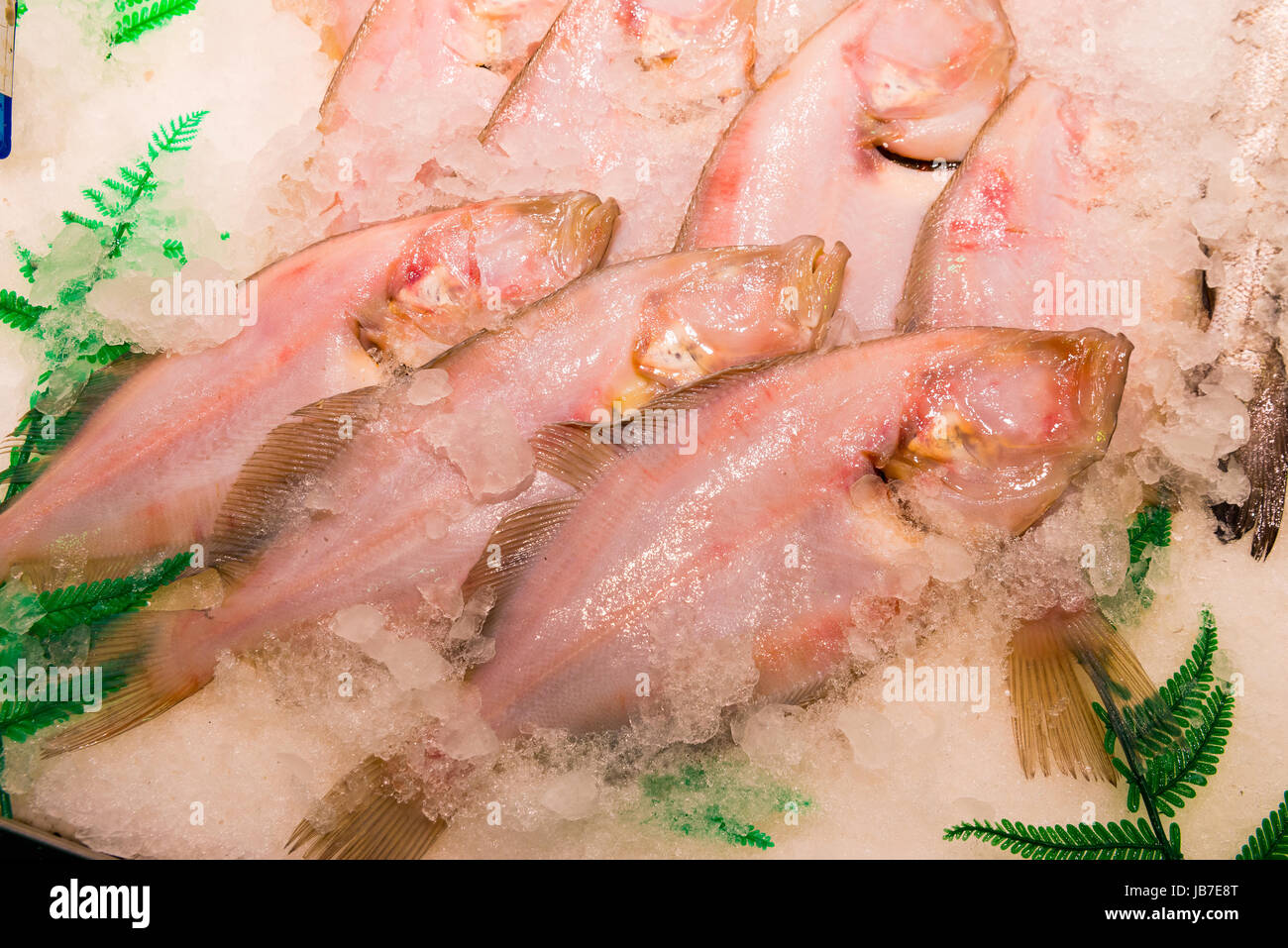 Crudo fresco Rombo giallo Pesce sul mercato, cibo crudo Foto Stock