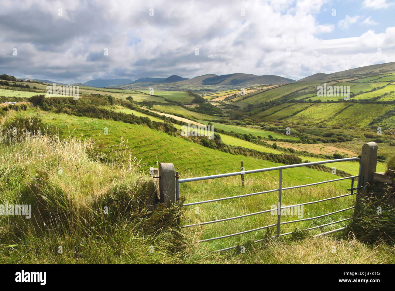 Grüne Wiesen bei Dingle, Iveragh-Halbinsel, nella contea di Kerry, Irlanda Foto Stock