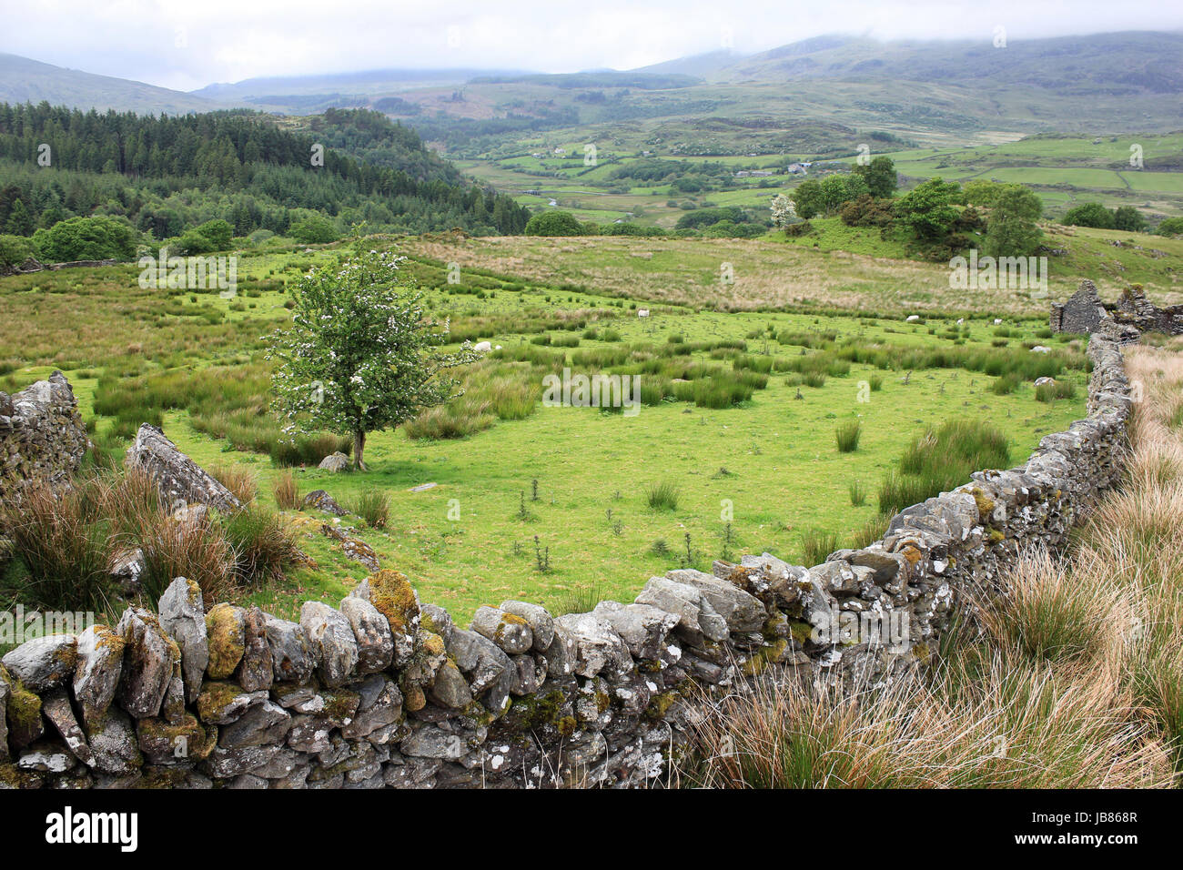 Il paesaggio al di sopra di Dolwyddelan, Conwy Valley, il Galles del Nord Foto Stock