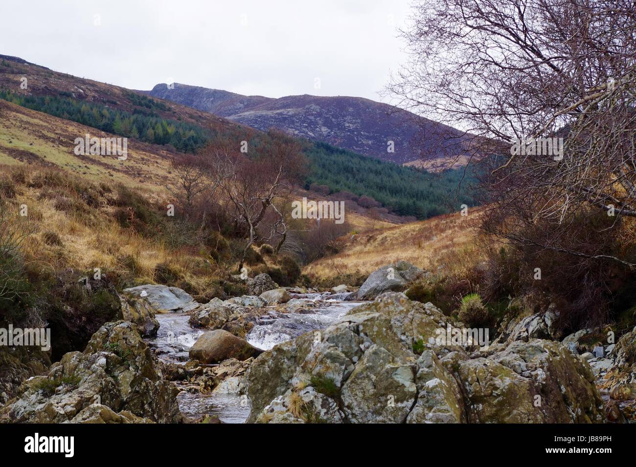 Guardando ad ovest fino al Glen Sannox valle da un flusso intermedio esposizione del cuscino di basalto. Isola di Arran, Scozia. Aprile 2017. Foto Stock