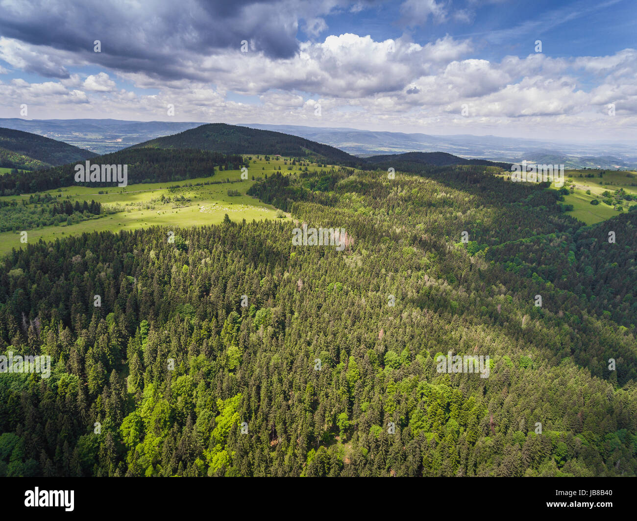 Vista aerea dell'estate in montagna vicino czarna gora montagna in Polonia. foresta di alberi di pino e le nuvole nel cielo blu. vista dall'alto. Foto Stock