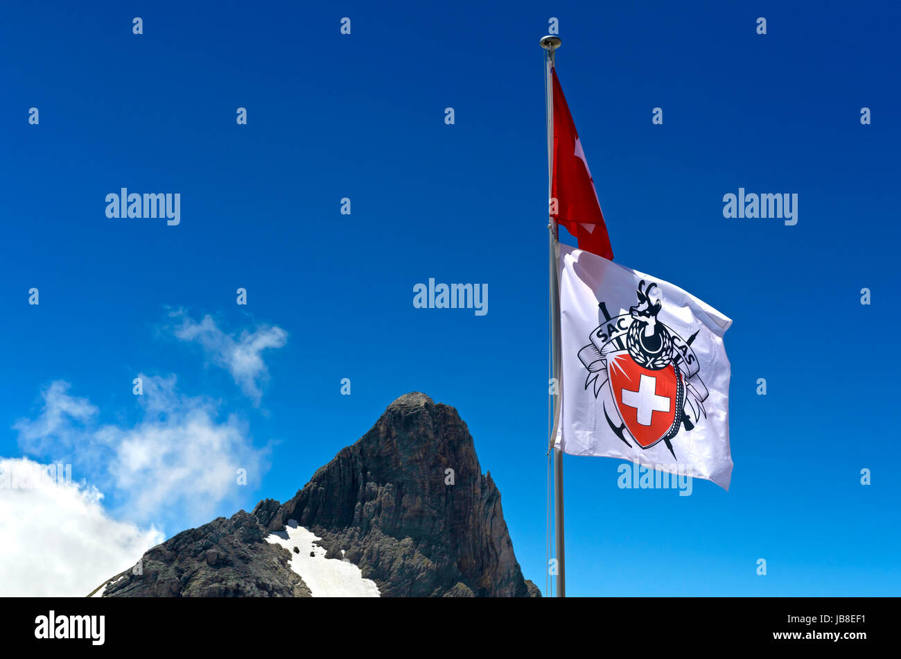 Bandiera con il logo del Club Alpino Svizzero, SAC, presso la capanna Rambert, Cabane Rambert, contro il picco Petit Muveran, Vallese, Svizzera Foto Stock