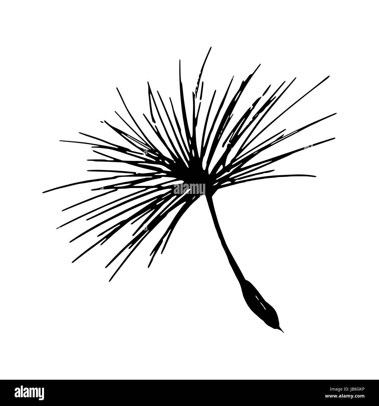 Seme di tarassaco schizzo a matita. Vettore logo floreale Illustrazione Vettoriale