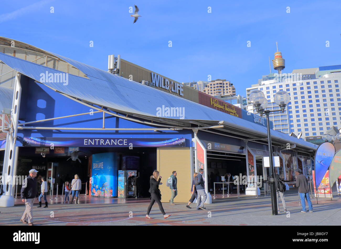 La gente visita il Darling Harbour di Sydney Australia Foto Stock