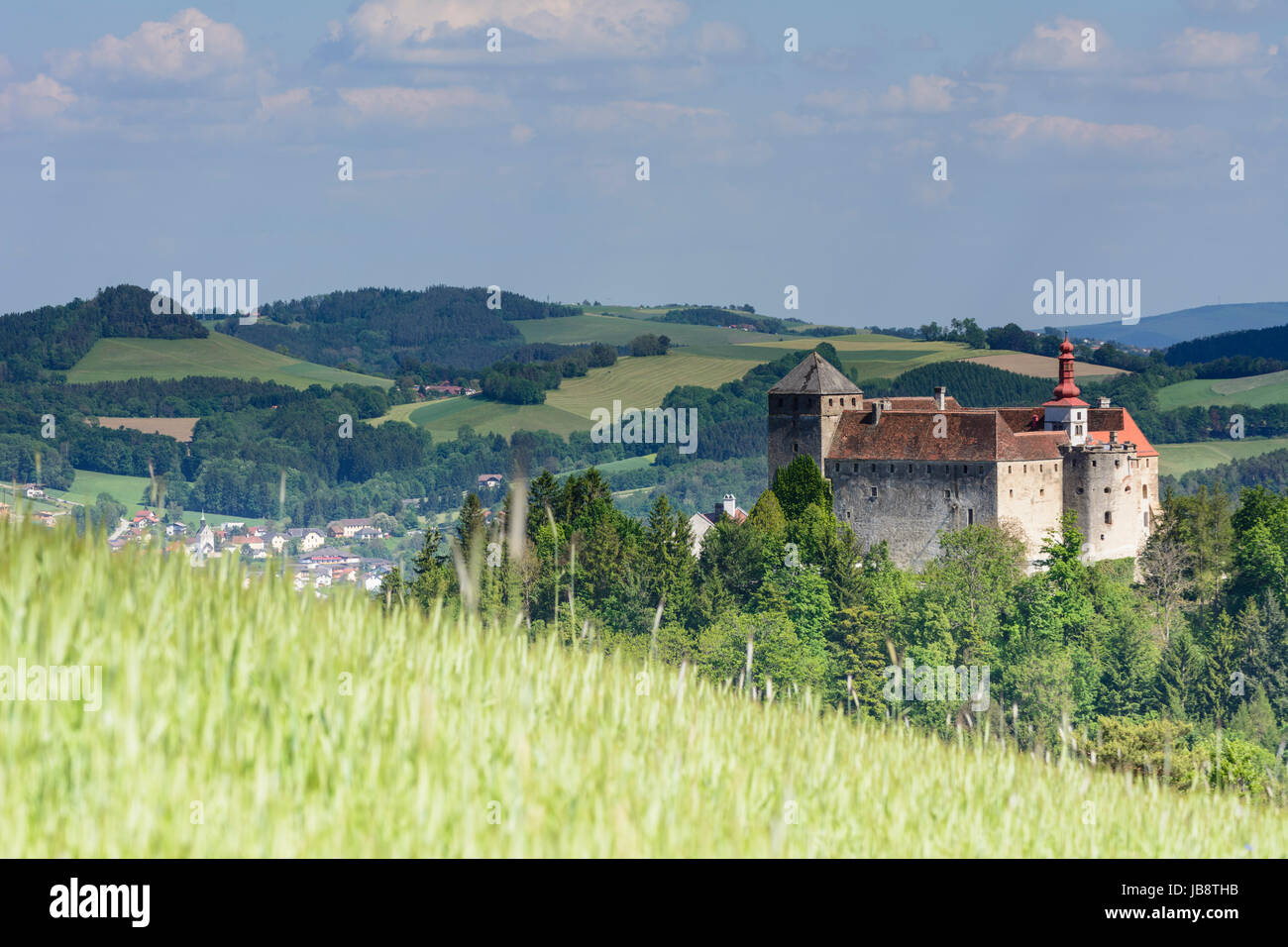 Krumbach Castello, Bucklige Welt, Krumbach, Wiener Alpen, Alpi Niederösterreich, Austria Inferiore, Austria Foto Stock