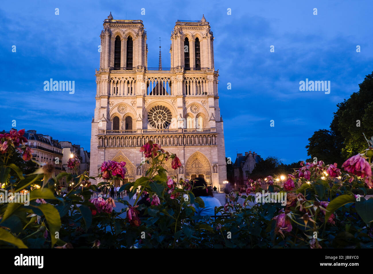 La cattedrale di Notre Dame durante la notte Foto Stock
