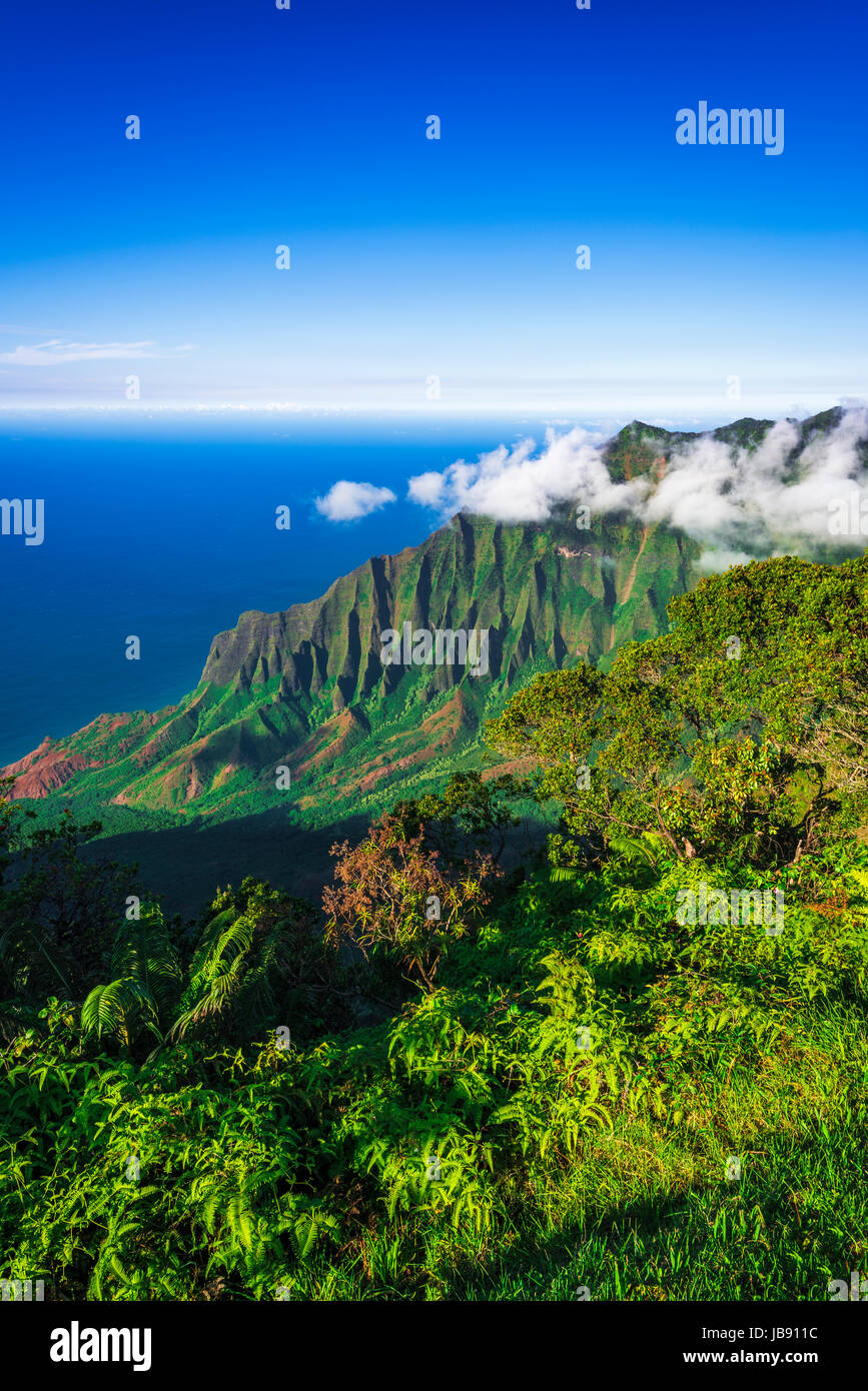 Kalalau Valley e la costa di Na Pali da Kalalau Lookout, Kokee State Park, Kauai, Hawaii USA Foto Stock