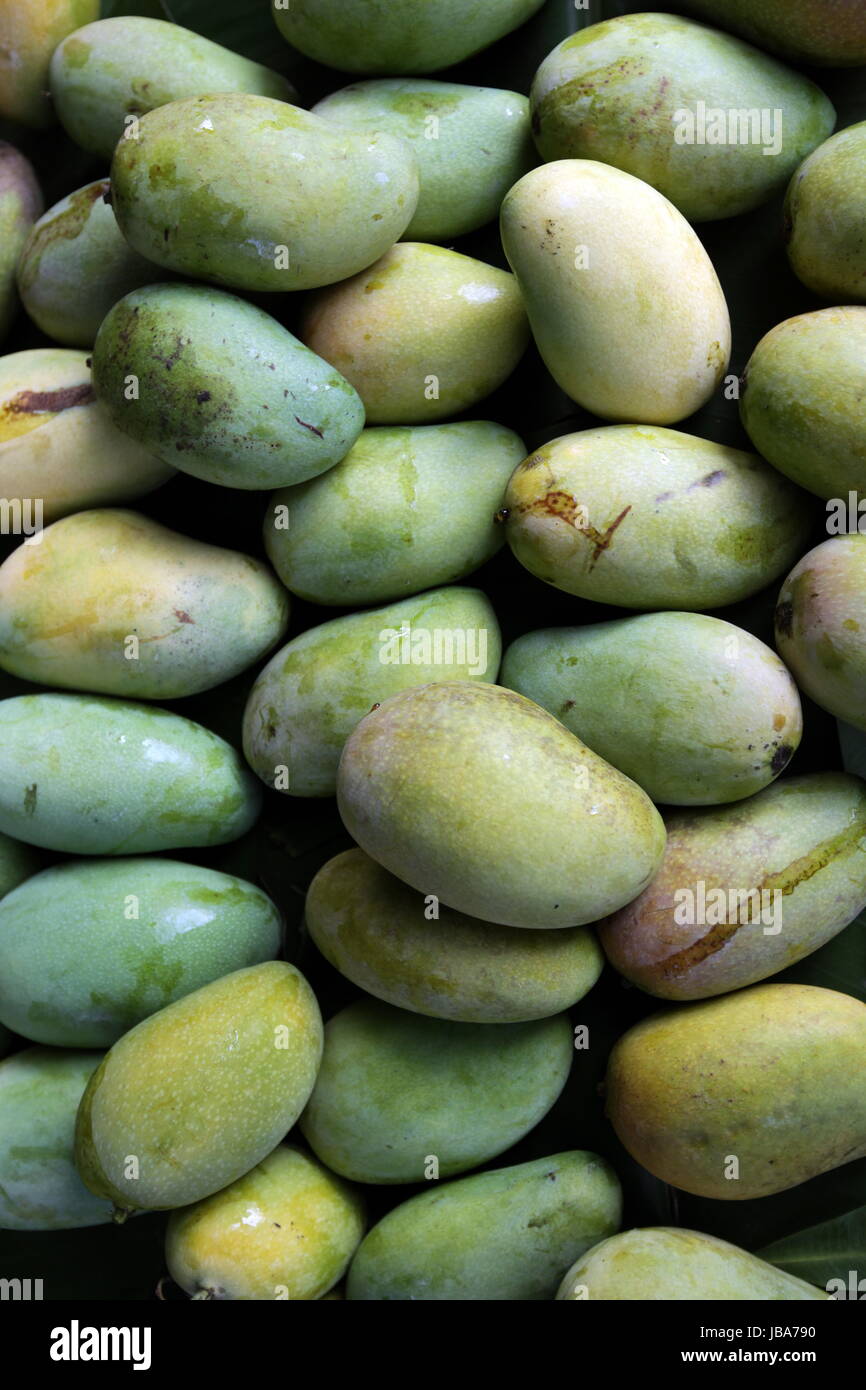 Mango auf dem Markt des Khao Sam Roi Yot Nationalpark am Golf von Thailandia im Suedwesten von tailandia in Suedostasien. Foto Stock