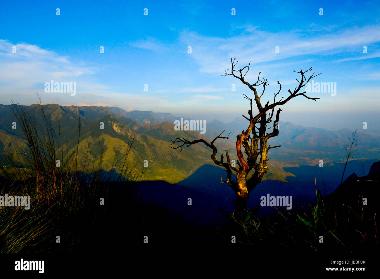 Stock Photo - bellissimo paesaggio del Kerala e paesaggi della natura Foto Stock