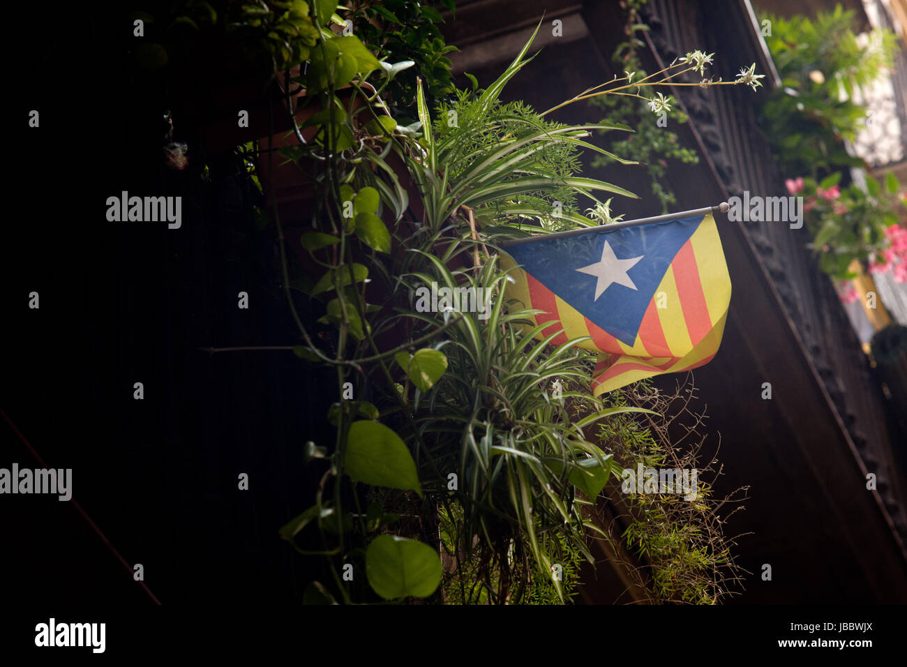 Una bandiera estelada (simbolo dell'indipendenza catalana) pende da un balcone a Barcellona, in Catalogna, Spagna. Foto Stock