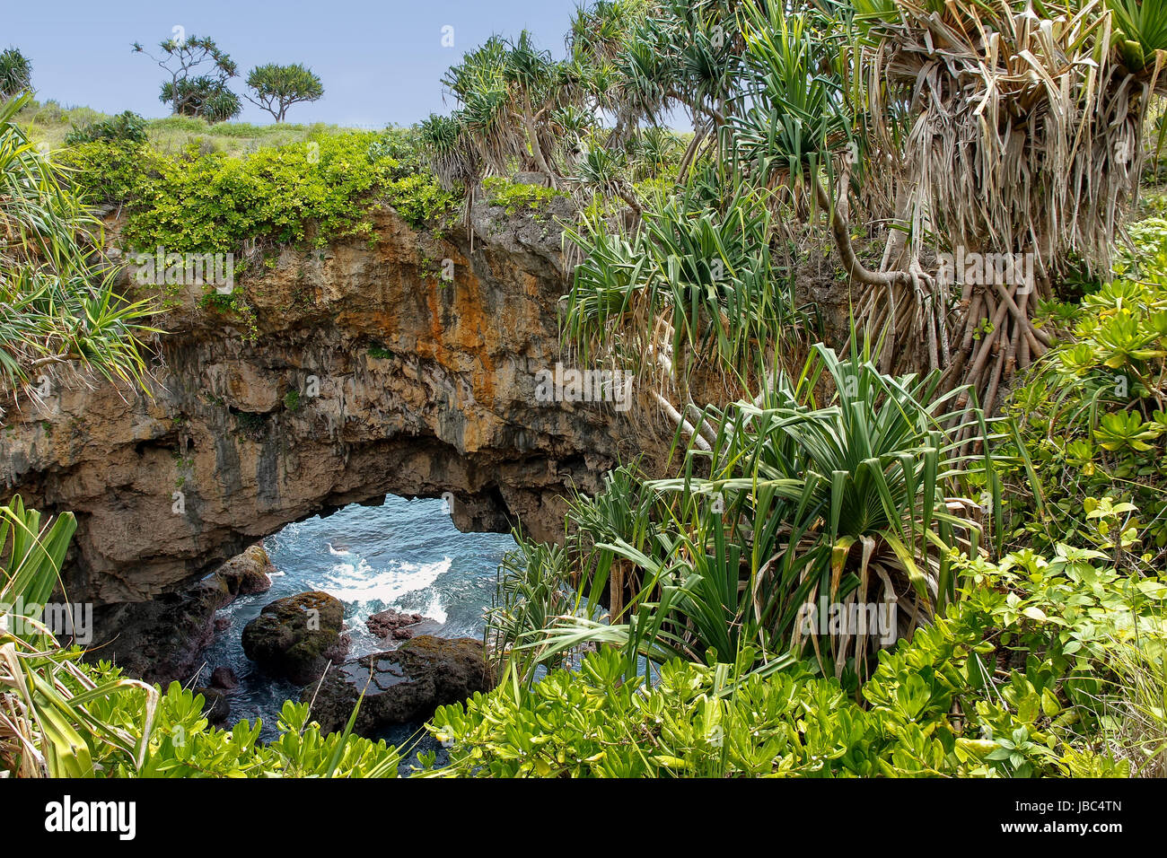 Terreni naturali Hufangalupe ponte sulla parte meridionale dell isola di Tongatapu in Tonga. Essa è stata formata quando il tetto di un mare grotta crollò Foto Stock