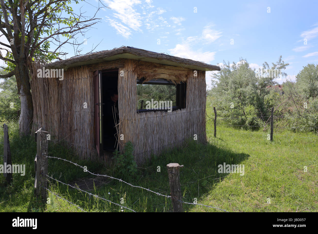 Professionale di fotografia di uccelli nascondere in Ultima frontiera nel fiume Danubio Delta in Romania Foto Stock