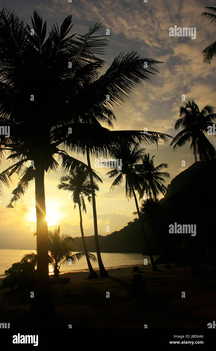 Spiaggia tropicale con palme di Sunrise, Wua Talab isola, Ang Thong National Marine Park, Thailandia Foto Stock