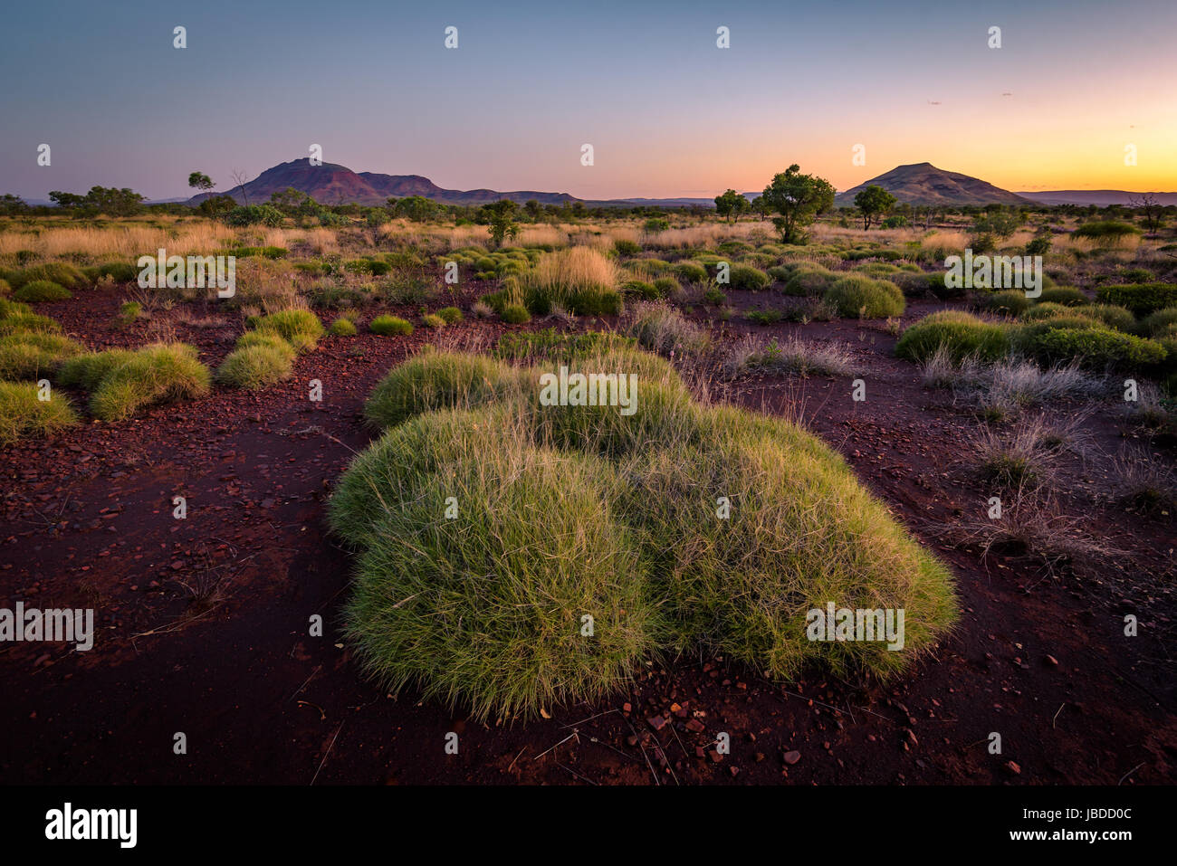 Hamersley gamma di Karijini National Park, Pilbara, Australia occidentale Foto Stock