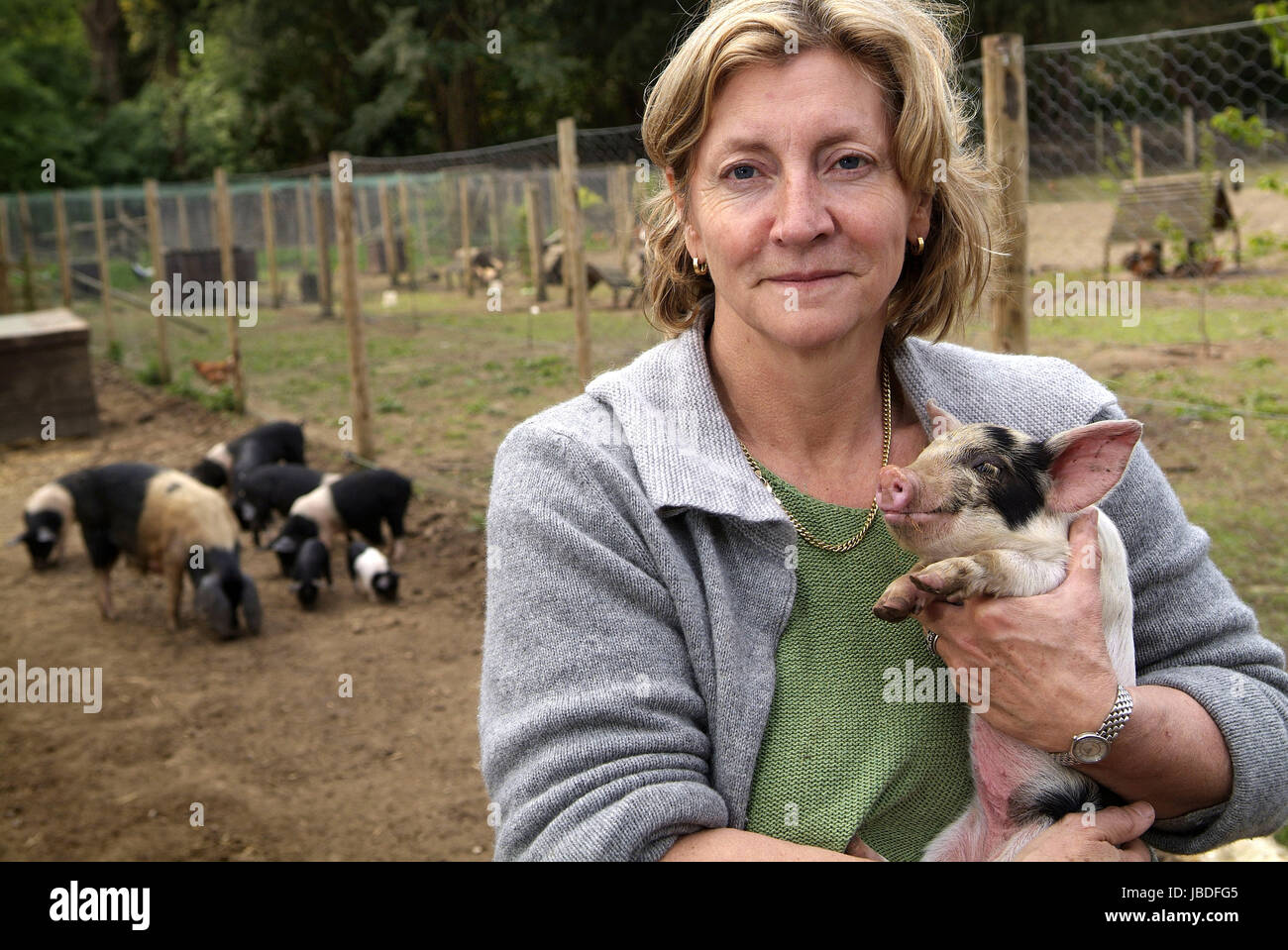 Rosie boicottaggio sul suo smallholding in Somerset Foto Stock