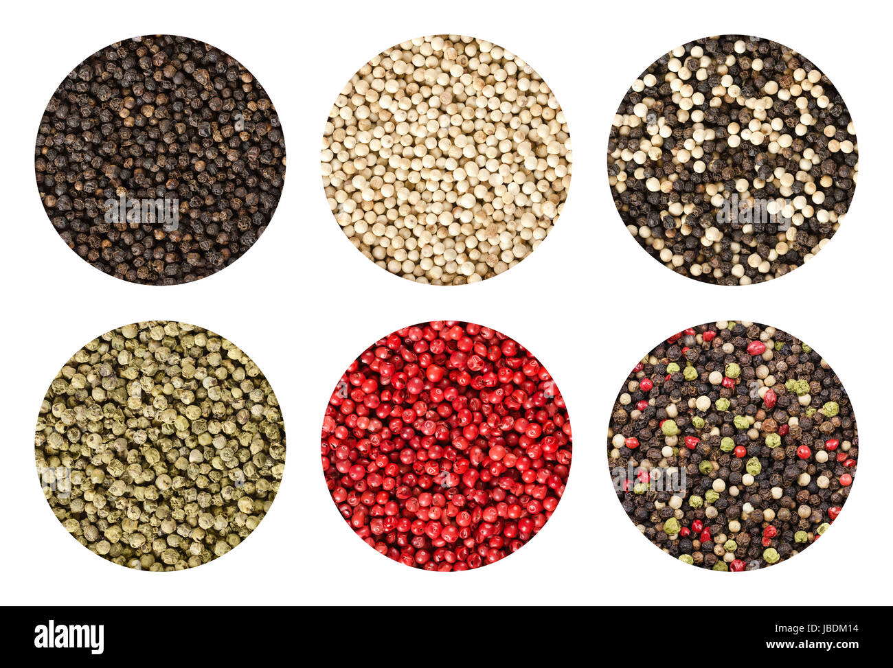 Sei varianti di grani di pepe in cerchi su sfondo bianco. Nero, bianco, verde e pepe rosa. Foto Stock