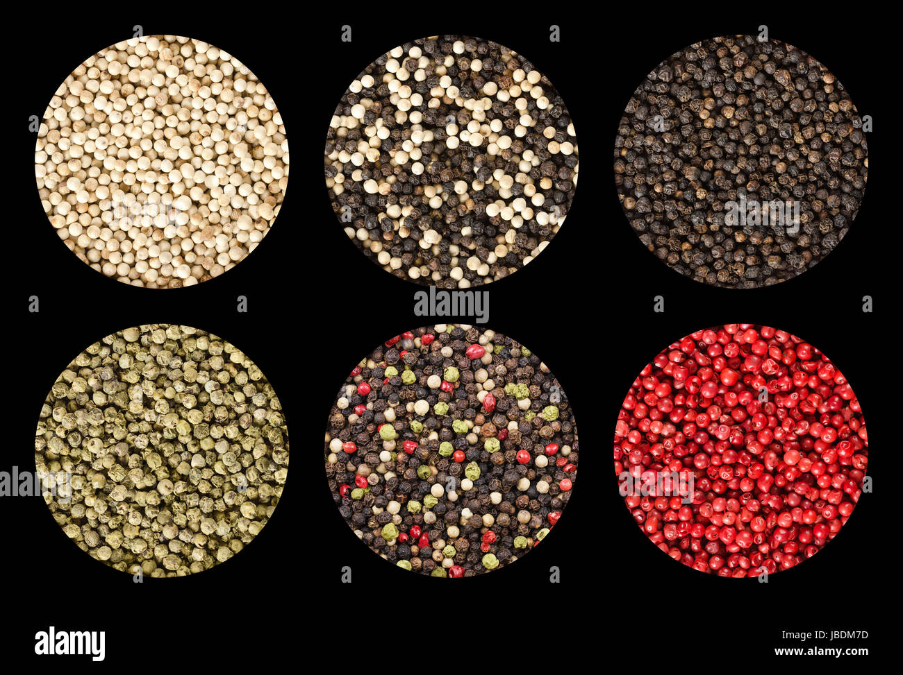 Sei varianti di grani di pepe in cerchi su sfondo nero. Nero, bianco, verde e pepe rosa. Foto Stock