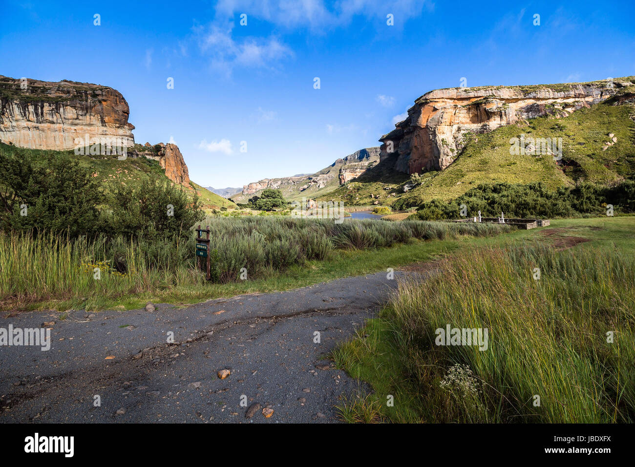 Splendido paesaggio in Golden Gate Park, Sud Africa Foto Stock