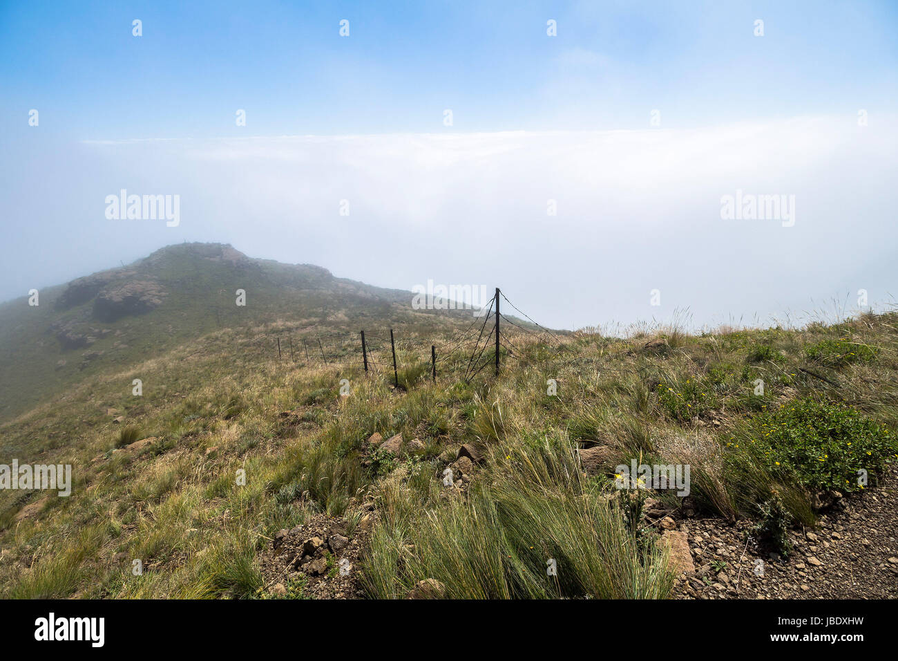Al di sopra delle nuvole sulla Passeggiata Sentinella, Drakensberge, Sud Africa Foto Stock